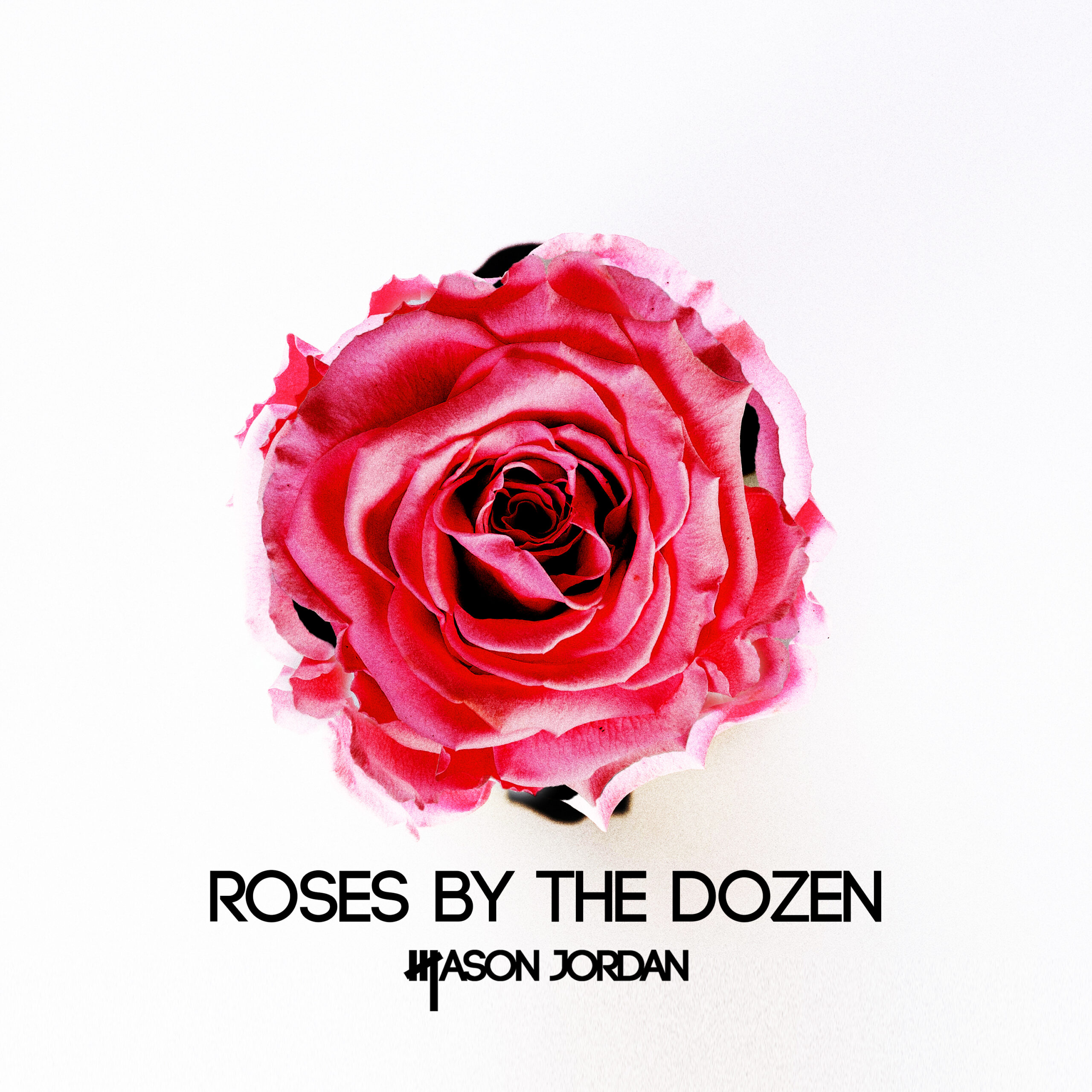 Roses By The Dozen Artwork